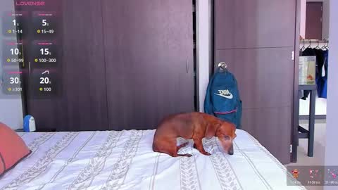 Snapshot of danyfitguy_ chatting on November 9, 2025, 5:11 pm danyfitguy_ online show from November 9, 2025, 5:11 pm