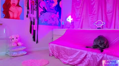 Daphne Madison online show from February 10, 2026, 10:14 pm