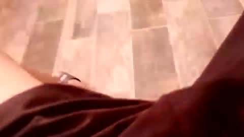 Snapshot of dario1127 chatting on December 15, 2025, 6:45 pm dario1127 online show from December 15, 2025, 6:45 pm