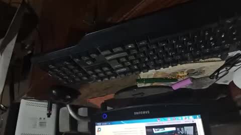 Snapshot of dario48 chatting on November 3, 2025, 6:47 am dario48 online show from November 3, 2025, 6:47 am