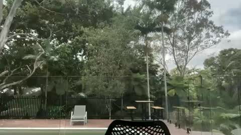 Snapshot of dartanian0001 chatting on October 1, 2025, 12:38 am dartanian0001 online show from October 1, 2025, 12:38 am