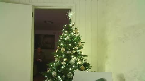 Snapshot of dartanjanas chatting on January 3, 2025, 4:06 pm Dario online show from January 3, 2025, 4:06 pm