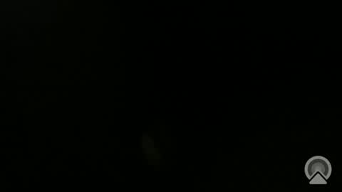 Snapshot of daveeveline chatting on November 11, 2025, 12:38 pm daveeveline online show from November 11, 2025, 12:38 pm