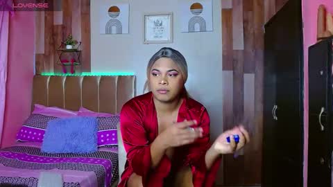 Noha online show from February 18, 2026, 10:33 am