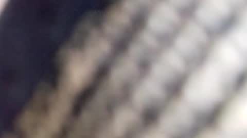 Snapshot of david_stone1969 chatting on January 23, 2025, 1:56 pm david_stone1969 online show from January 23, 2025, 1:56 pm