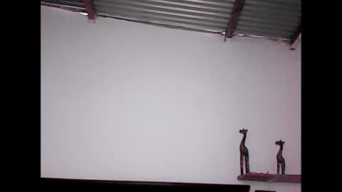 Snapshot of david_stuart07 chatting on January 20, 2025, 8:50 pm davidstuart online show from January 20, 2025, 8:50 pm