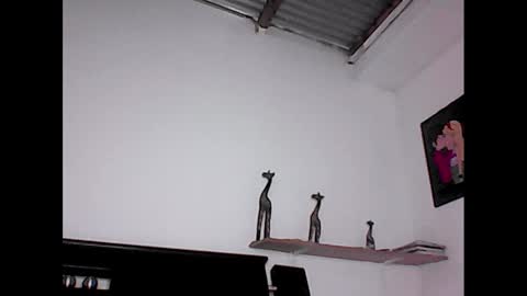 Snapshot of david_stuart07 chatting on January 23, 2025, 7:07 pm davidstuart online show from January 23, 2025, 7:07 pm