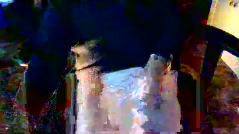 davidneedmore online show from March 3, 2026, 2:34 pm