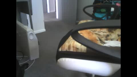 Snapshot of dazzle68 chatting on March 14, 2026, 10:48 pm Dazzle68 online show from March 14, 2026, 10:48 pm