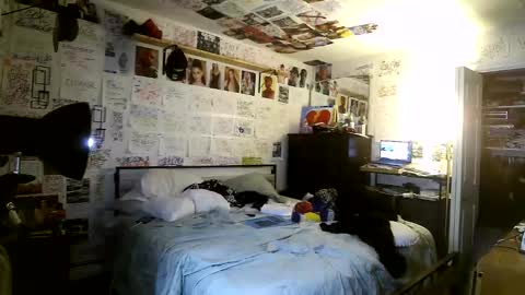 Snapshot of dbeamon92 chatting on March 8, 2026, 2:04 am dbeamon92 online show from March 8, 2026, 2:04 am