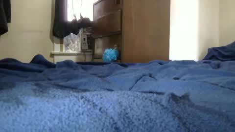 Snapshot of dcdrew3 chatting on December 10, 2024, 5:00 pm Dcdrew3 online show from December 10, 2024, 5:00 pm