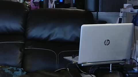 Snapshot of ddboobman chatting on February 6, 2025, 11:48 pm want girl to play with me online show from February 6, 2025, 11:48 pm