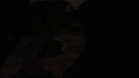 Snapshot of ddc444 chatting on November 23, 2025, 2:22 am DC online show from November 23, 2025, 2:22 am