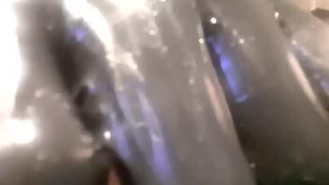 Snapshot of ddick0303 chatting on November 14, 2025, 4:00 am ddick0303 online show from November 14, 2025, 4:00 am