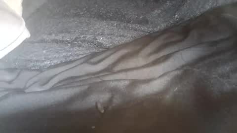 ddick0303 online show from June 8, 2026, 6:47 am