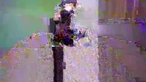 Snapshot of dee4dayz19 chatting on June 1, 2026, 1:51 am Dee4dayz online show from June 1, 2026, 1:51 am