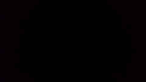 deliv_shopi online show from November 9, 2025, 2:32 am