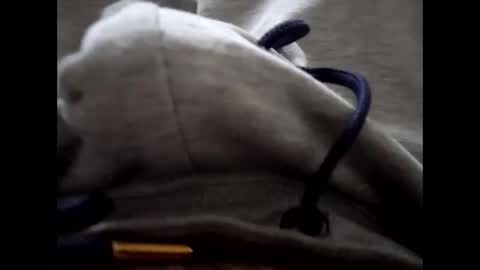 deliv_shopi online show from January 15, 2026, 3:05 pm