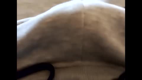 deliv_shopi online show from February 22, 2026, 2:48 pm