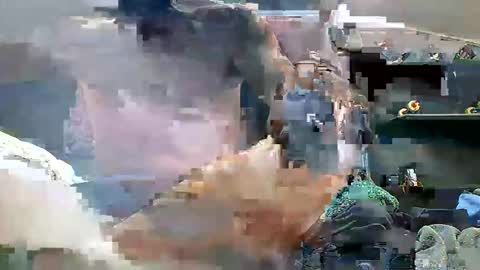 demonseed9325 online show from May 12, 2026, 7:05 am
