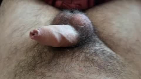 Snapshot of denis647 chatting on September 15, 2025, 12:05 pm LilRoach online show from September 15, 2025, 12:05 pm