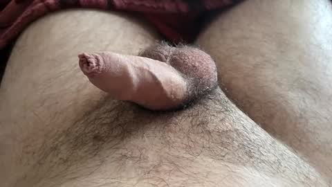 Snapshot of denis647 chatting on November 16, 2025, 3:28 pm LilRoach online show from November 16, 2025, 3:28 pm