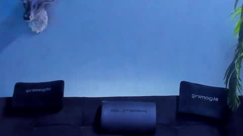 Snapshot of dennis_cox_ chatting on May 27, 2026, 8:33 am dennis_cox_ online show from May 27, 2026, 8:33 am