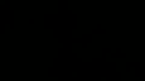 Denzel King3 online show from November 14, 2025, 10:47 am