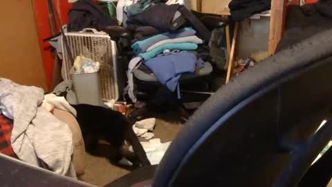 desolation2012 online show from March 27, 2026, 5:02 am