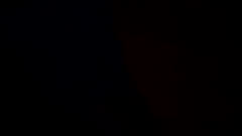 detectivearcor online show from October 28, 2025, 10:08 am