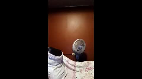 devensingh online show from March 20, 2026, 5:34 am