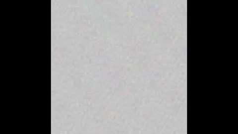 dogbrutus online show from December 22, 2025, 8:00 am