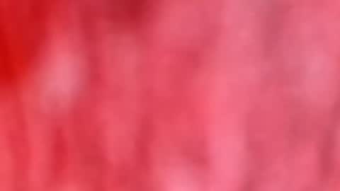 Snapshot of dhbbc454336 chatting on January 12, 2026, 10:42 am Marcus D-von Steel as the raunchy ass sniffer thrill me with your online show from January 12, 2026, 10:42 am