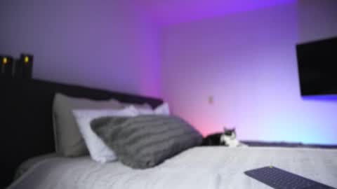 Snapshot of diagostone chatting on November 26, 2025, 8:54 pm Diego online show from November 26, 2025, 8:54 pm