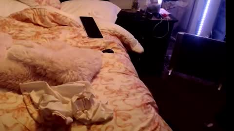 Snapshot of dickgiggler chatting on February 24, 2026, 9:07 am Sparkx online show from February 24, 2026, 9:07 am