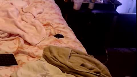 Snapshot of dickgiggler chatting on March 1, 2026, 7:32 am Sparkx online show from March 1, 2026, 7:32 am