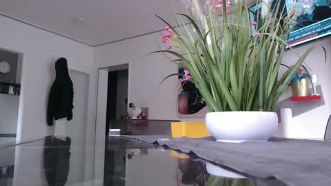 Snapshot of didiegal1 chatting on February 2, 2026, 12:48 pm squirtcock online show from February 2, 2026, 12:48 pm