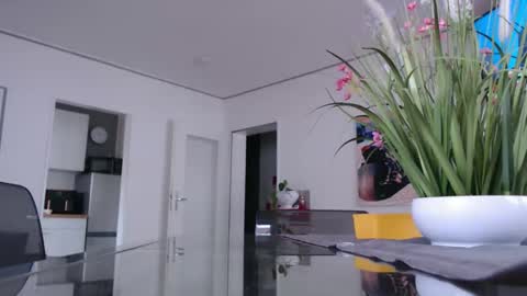 Snapshot of didiegal1 chatting on February 10, 2026, 9:13 am squirtcock online show from February 10, 2026, 9:13 am