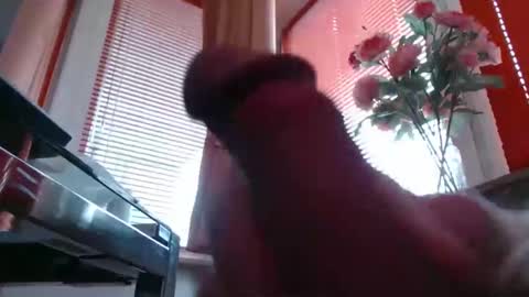 Snapshot of didiegal1 chatting on February 24, 2026, 9:07 am squirtcock online show from February 24, 2026, 9:07 am