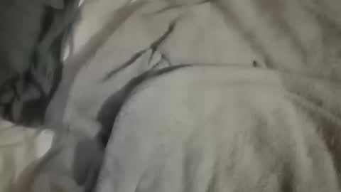 Daddy online show from October 10, 2025, 4:44 am