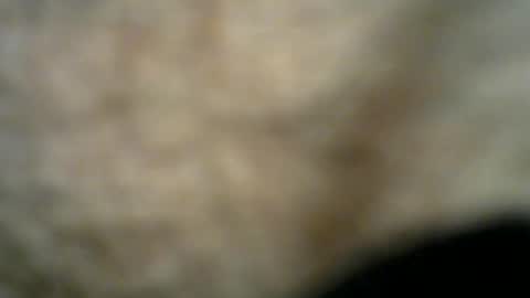 Snapshot of dilaradagci chatting on July 26, 2026, 11:22 pm Bob online show from July 26, 2026, 11:22 pm