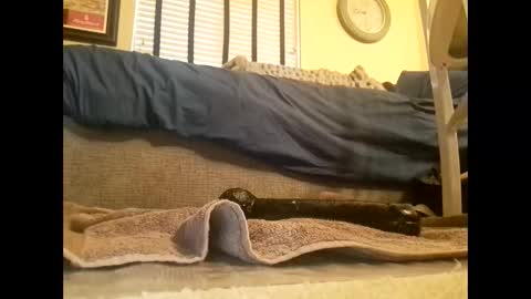 Snapshot of dildosnme22 chatting on March 10, 2025, 6:45 pm dildosnme22 online show from March 10, 2025, 6:45 pm