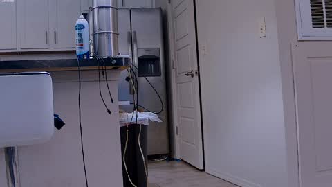 Snapshot of dilldough405 chatting on January 29, 2025, 6:07 pm Dilldough405 online show from January 29, 2025, 6:07 pm