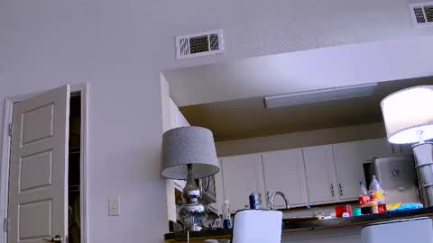 Snapshot of dilldough405 chatting on February 11, 2025, 9:56 pm Dilldough405 online show from February 11, 2025, 9:56 pm