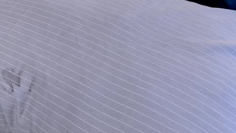 Snapshot of dilldough405 chatting on February 24, 2025, 7:55 am Dilldough405 online show from February 24, 2025, 7:55 am