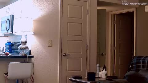 Snapshot of dilldough405 chatting on September 21, 2025, 1:18 am Dilldough405 online show from September 21, 2025, 1:18 am