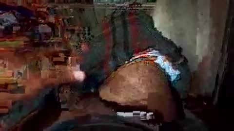 Snapshot of dino_7711 chatting on November 22, 2025, 2:10 am dyno online show from November 22, 2025, 2:10 am