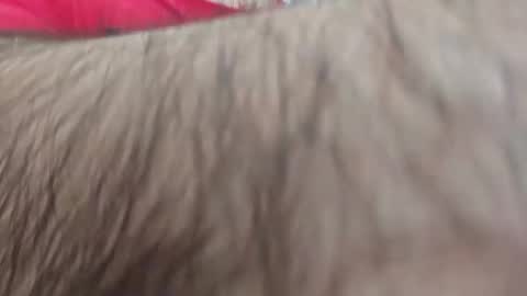 dios891 online show from April 25, 2026, 1:03 pm