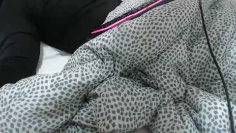 Z online show from February 3, 2026, 11:48 am