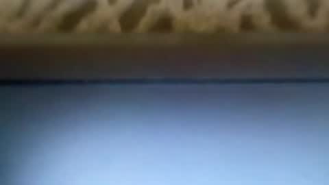 free4fun online show from April 9, 2026, 6:30 am